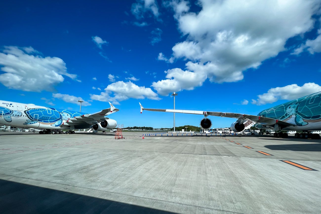 ANA A380 Charter