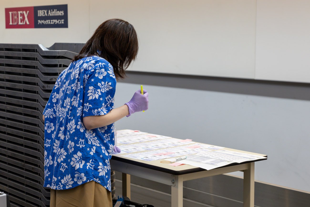 ANA A380 Charter Check-In