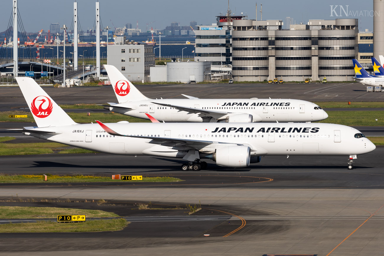 JAL Domestic First Class Fleet